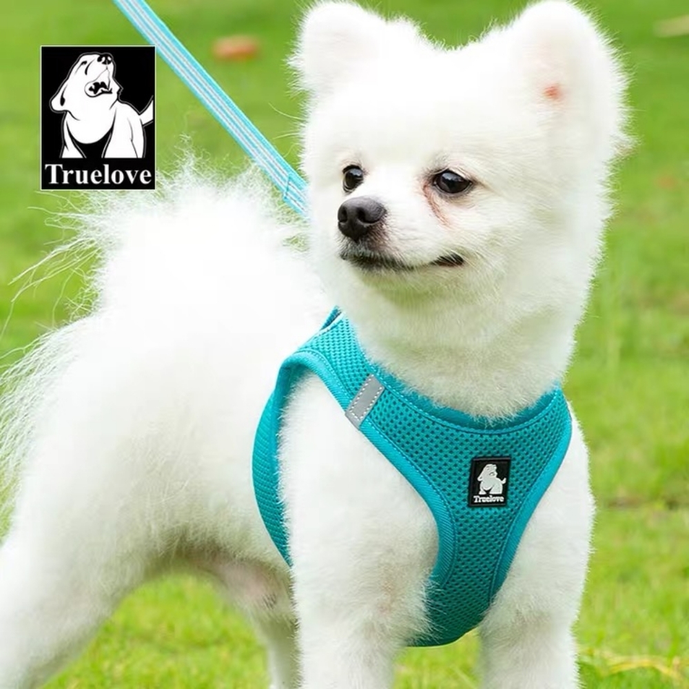 Dog vest harness with leash set made with breathable air mesh. FOUR Color